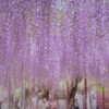 暖かな陽射し