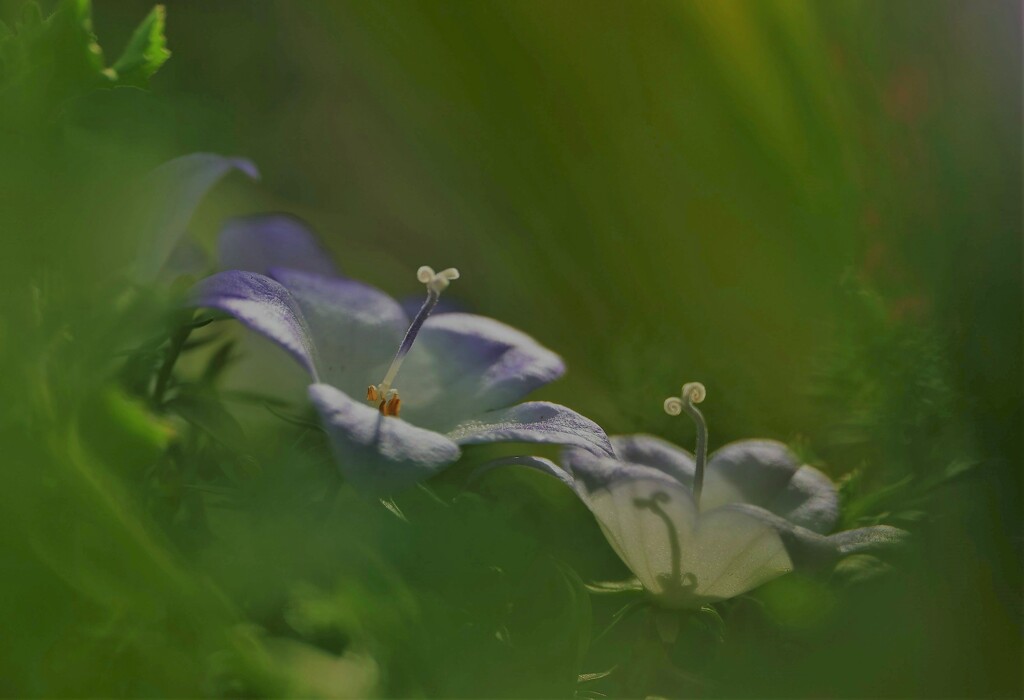 木洩れ日の中で