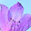 雨のち晴