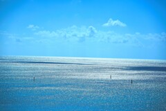 キラキラ の海