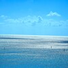 キラキラ の海