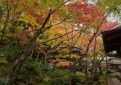 常寂光寺~5