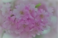 古都の残影　三十三間堂4