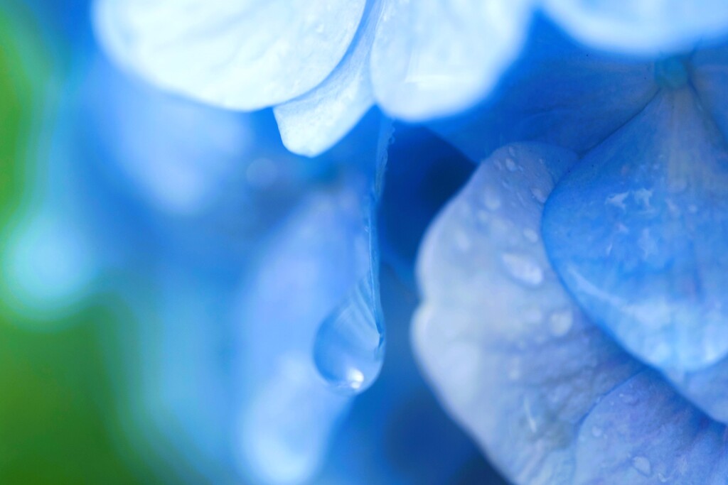 蒼の時間～じめじめ