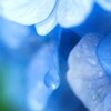 蒼の時間～じめじめ