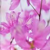 ここは、密