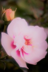 ラルサ　バビロン