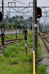 しなの鉄道急行115系号~遠距離