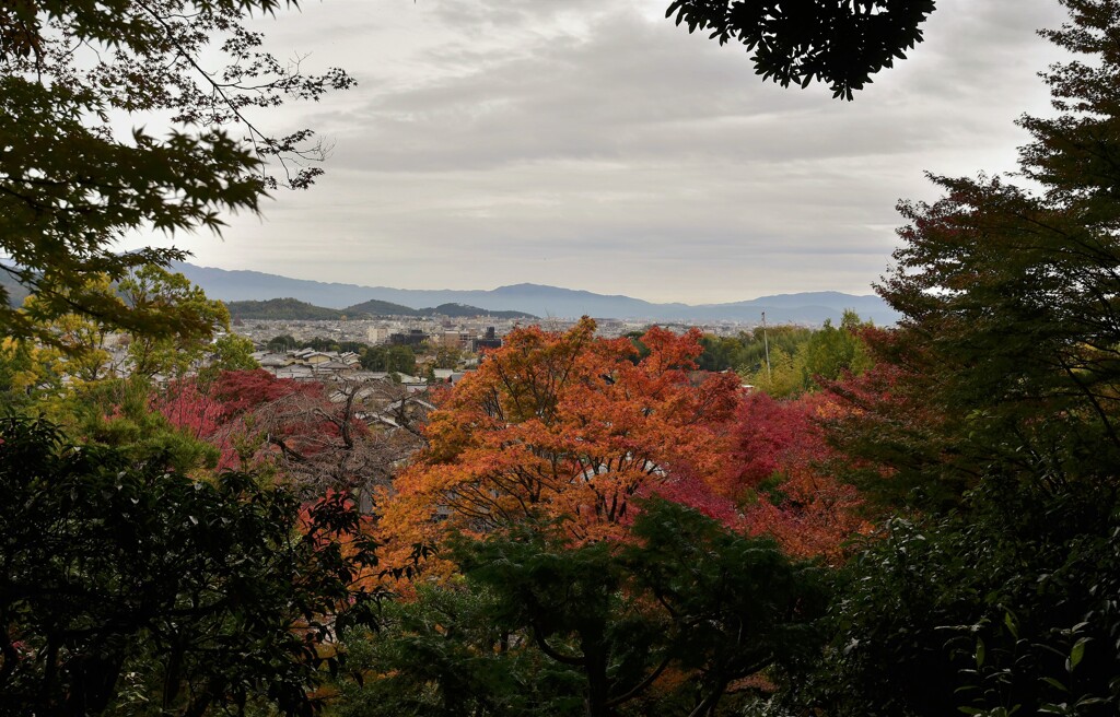 常寂光寺~4