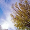今年が見納めですか