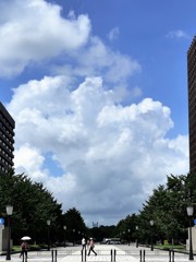 東京の夏 日本の夏