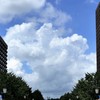 東京の夏 日本の夏