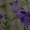 蒼の時間～味