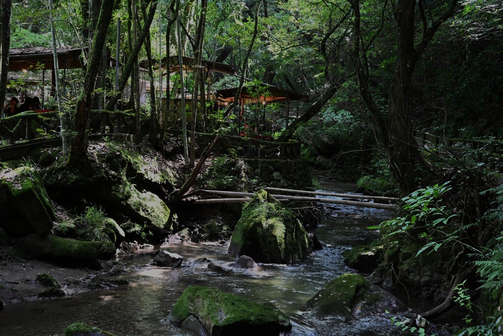 涼を求めて