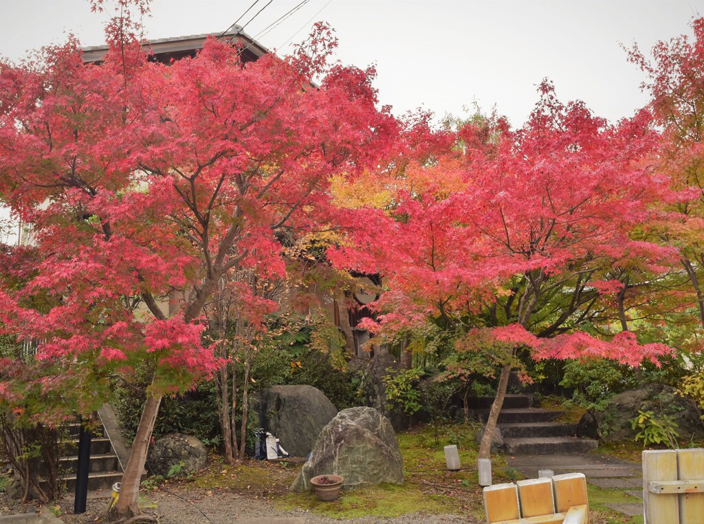 嵯峨野 嵐山 散策~5