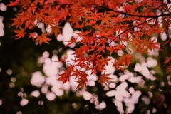 友泉亭～晩秋