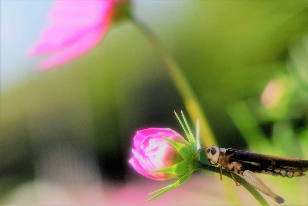 みられていますよ