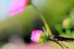 みられていますよ