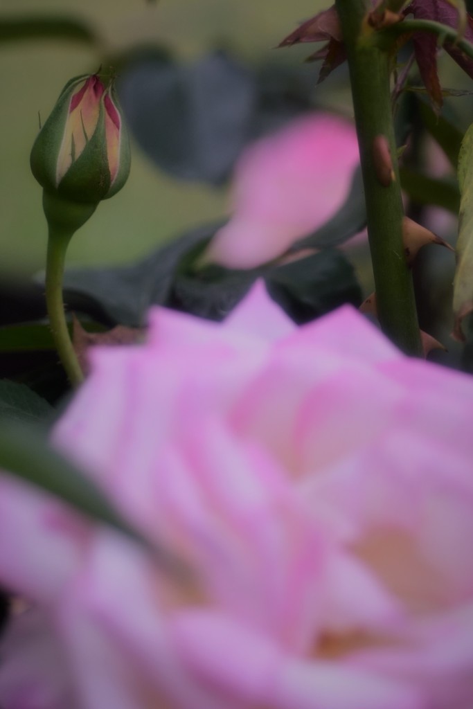 プリンセスドウモナコ2.