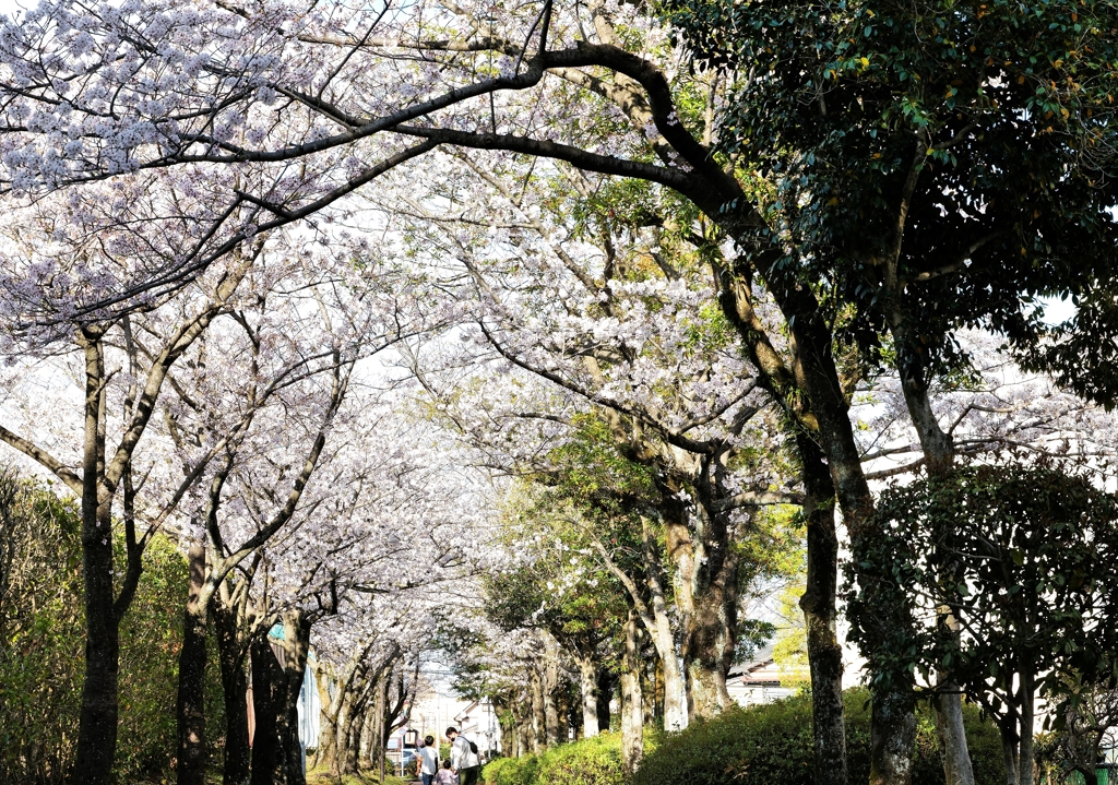 こんな時代もあったよね