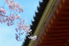 古都の残影　三十三間堂5