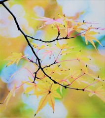 友泉亭～晩秋別気分
