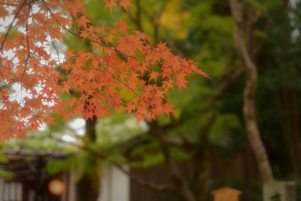 過行く季節