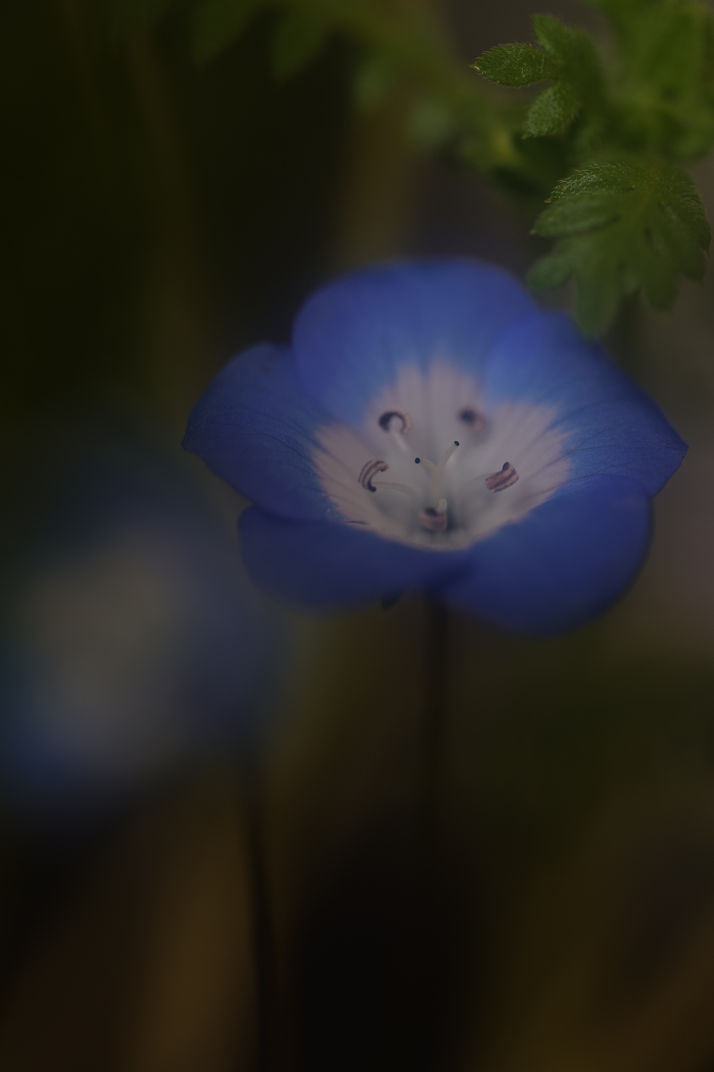 相棒はどこですか