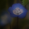 相棒はどこですか