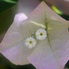目立つことなく