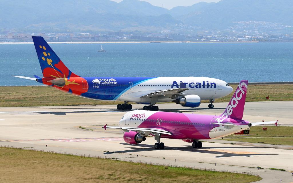 エアカランとピーチ　関空にて