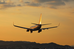 千里川土手 夕景　JAL機