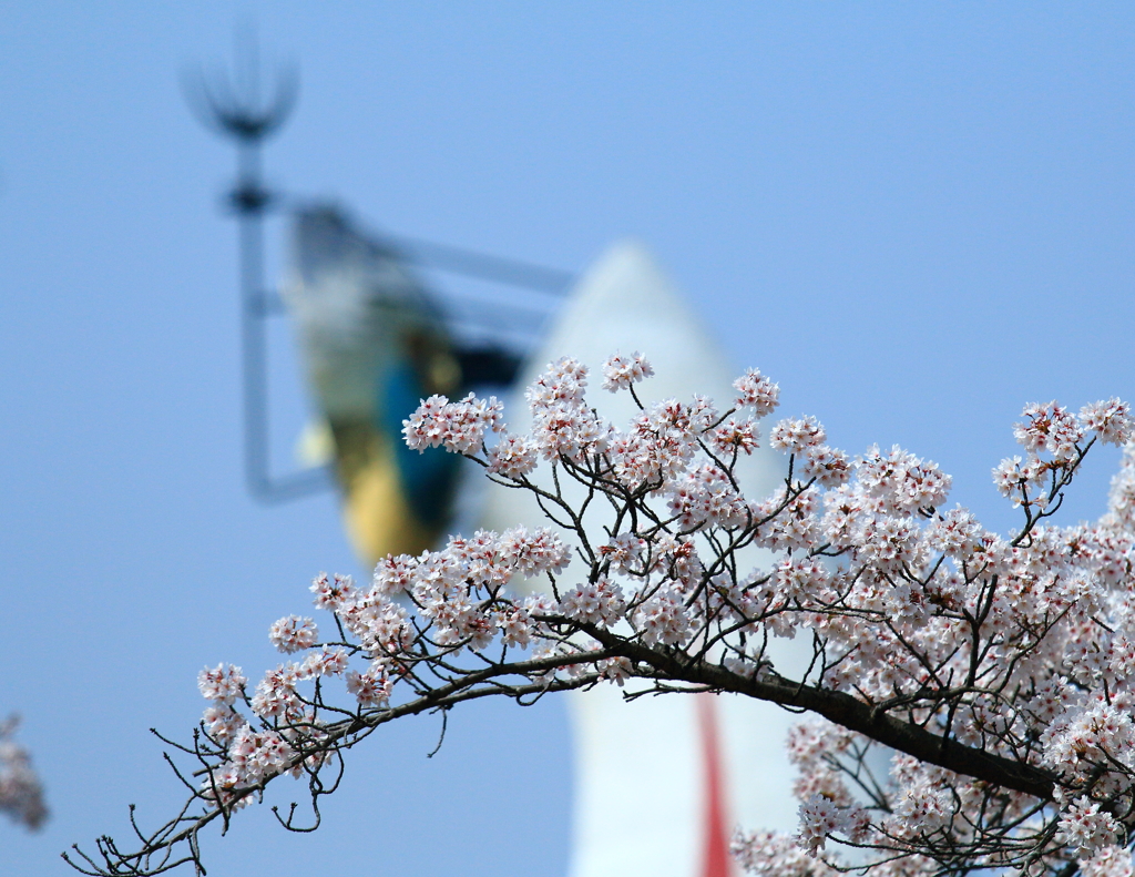 太陽の塔をバックに