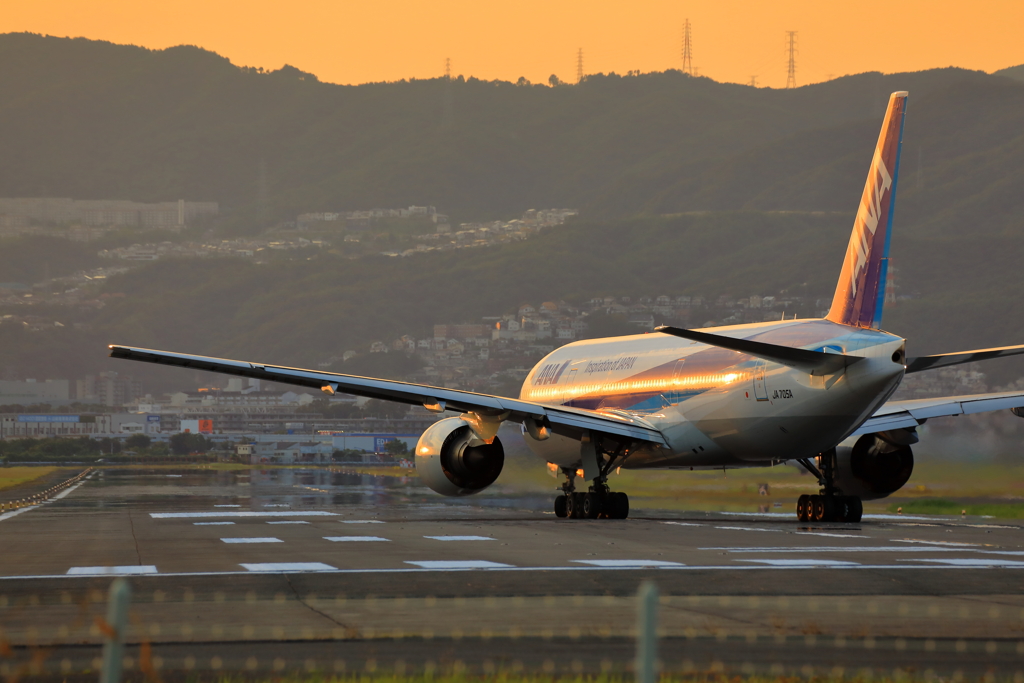 千里川土手 夕景