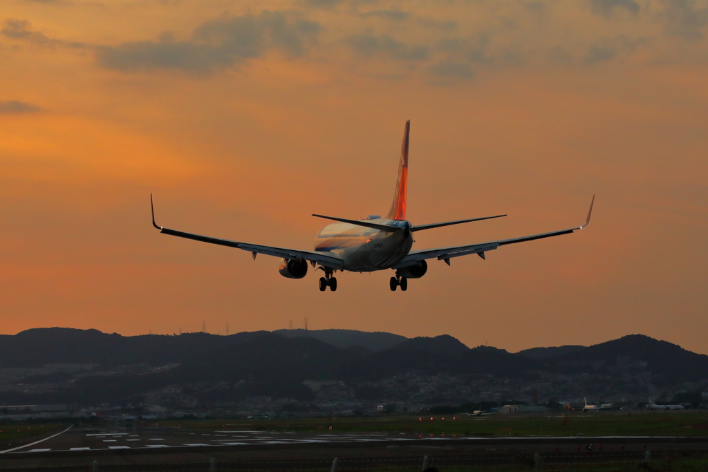 千里川土手 夕景　ANA機