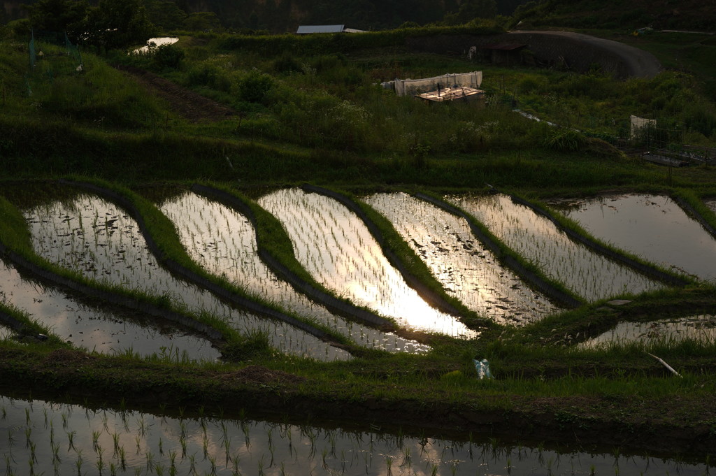 棚田のある風景