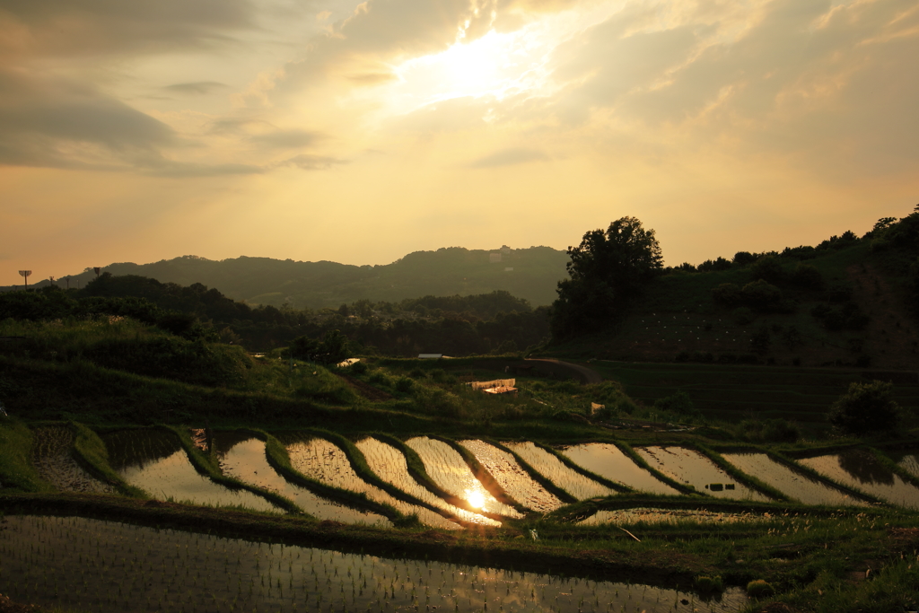 棚田のある風景