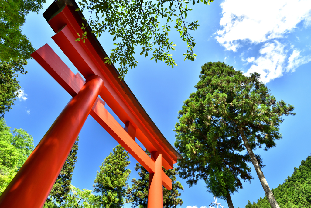 青空と鳥居