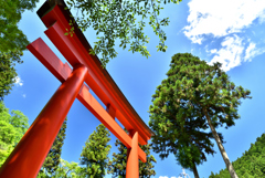青空と鳥居