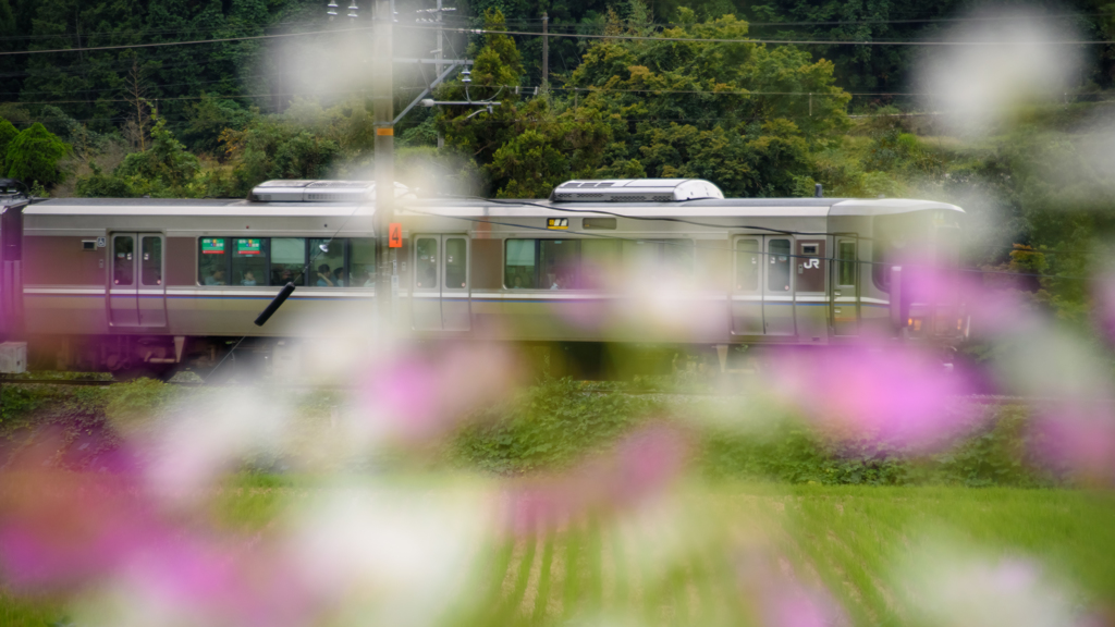 秋の丹波路を行く