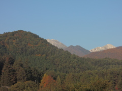 DSCN0577