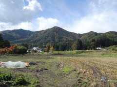 DSCN0502