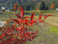 DSCN0671