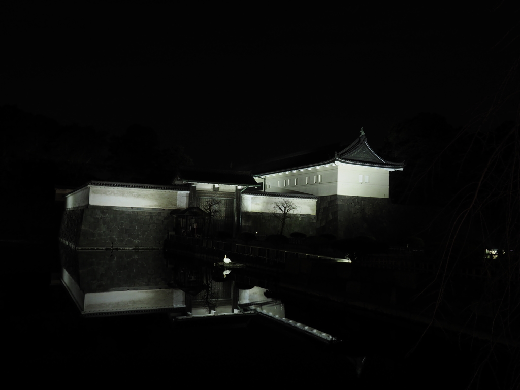 夜の皇居　大手門