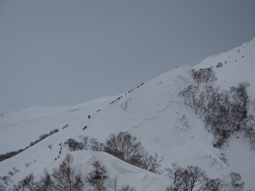 雪山を登る人たち