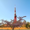 春を迎える東京タワー