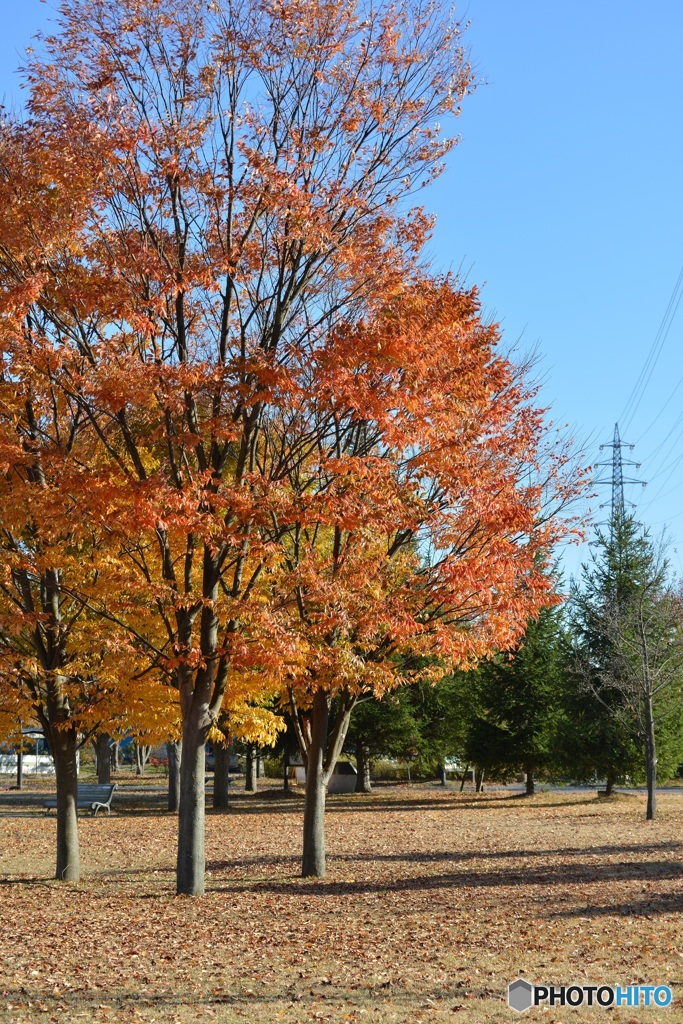 紅と青