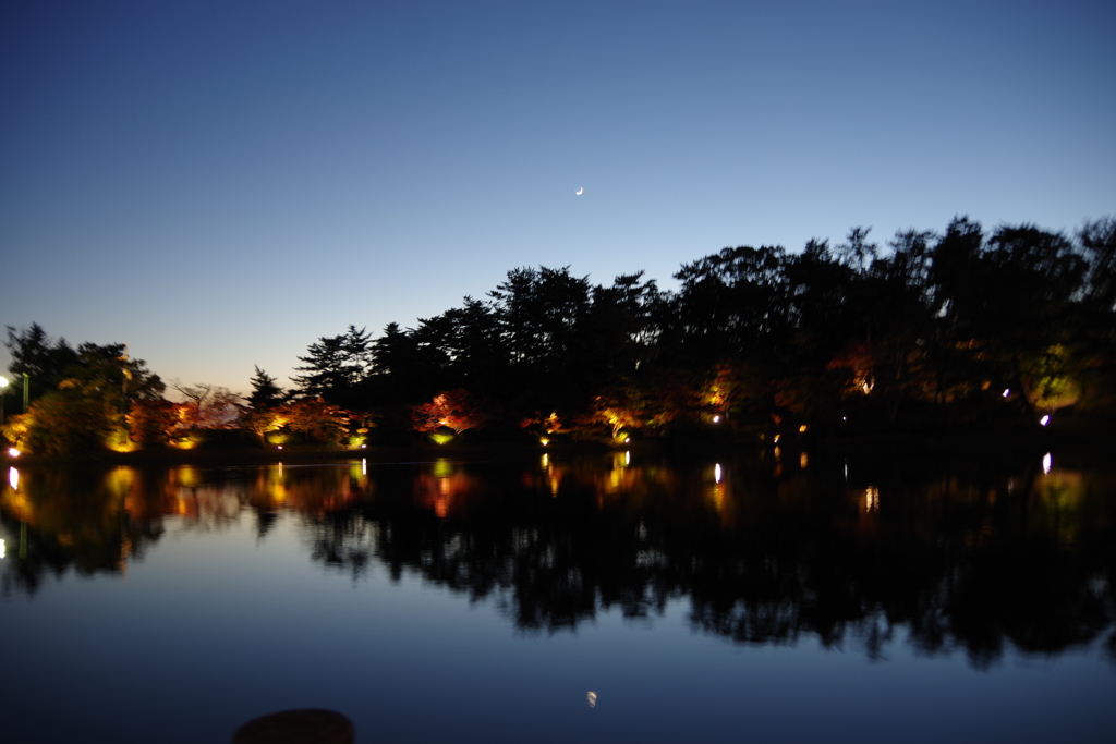 20171121東岡崎公園