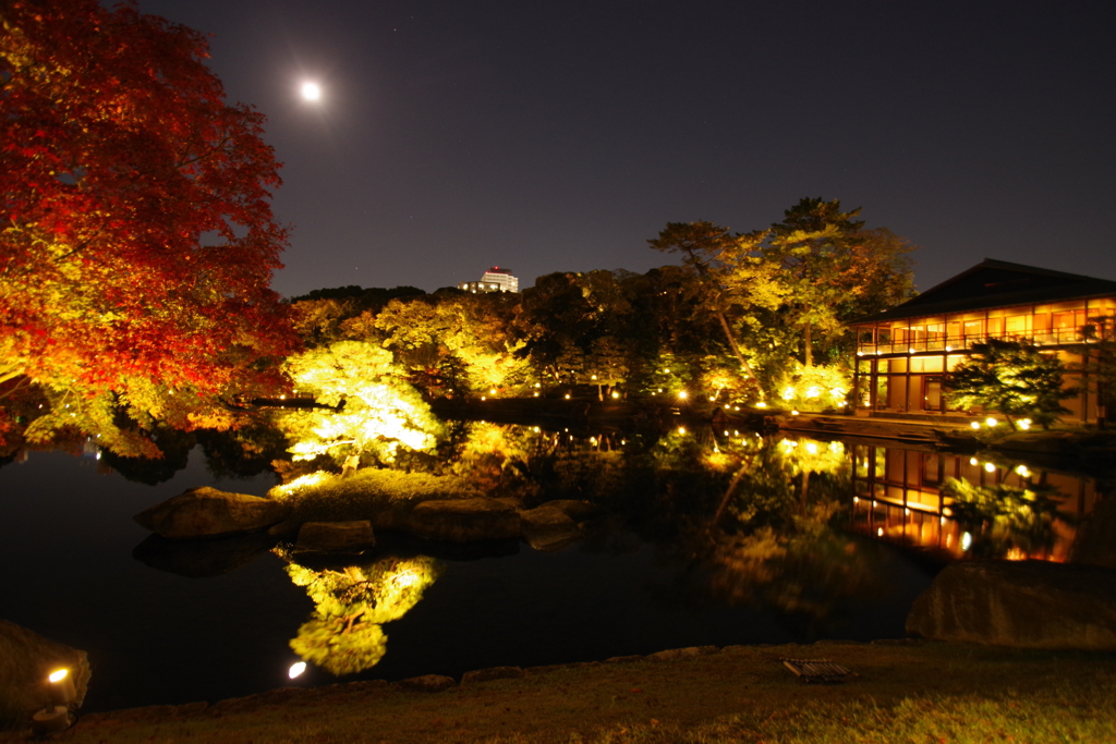 徳川園その5