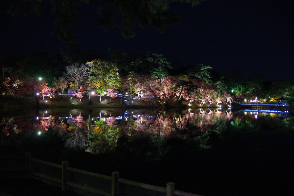 20171121東岡崎公園-7